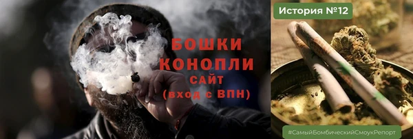 ПСИЛОЦИБИНОВЫЕ ГРИБЫ Алзамай