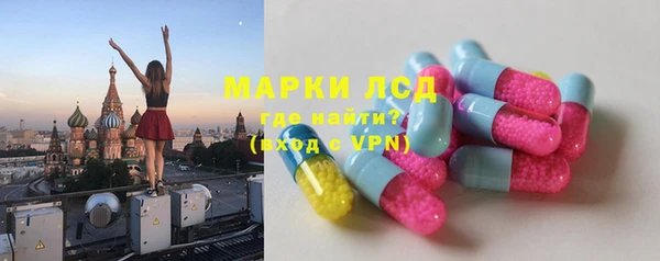 прущие грибы Алексеевка