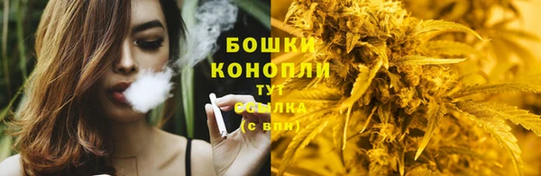ПСИЛОЦИБИНОВЫЕ ГРИБЫ Алзамай